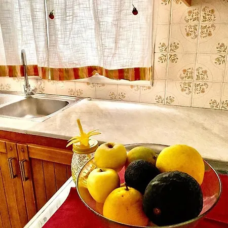 Apartment Maldonado By The Sea